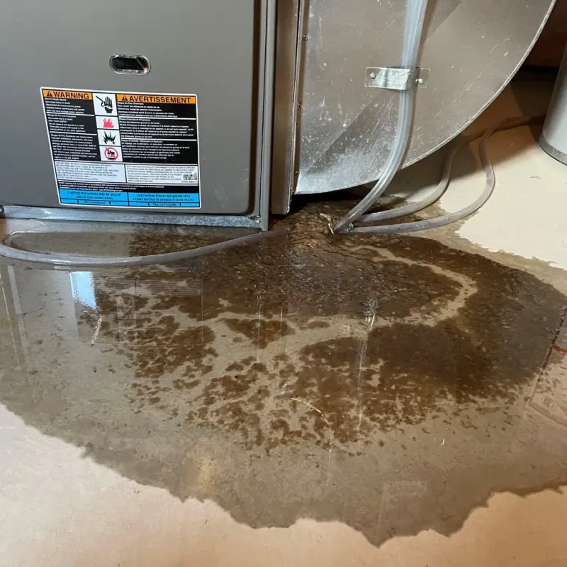 Appliance Leak Cleanup in Walden, CO
