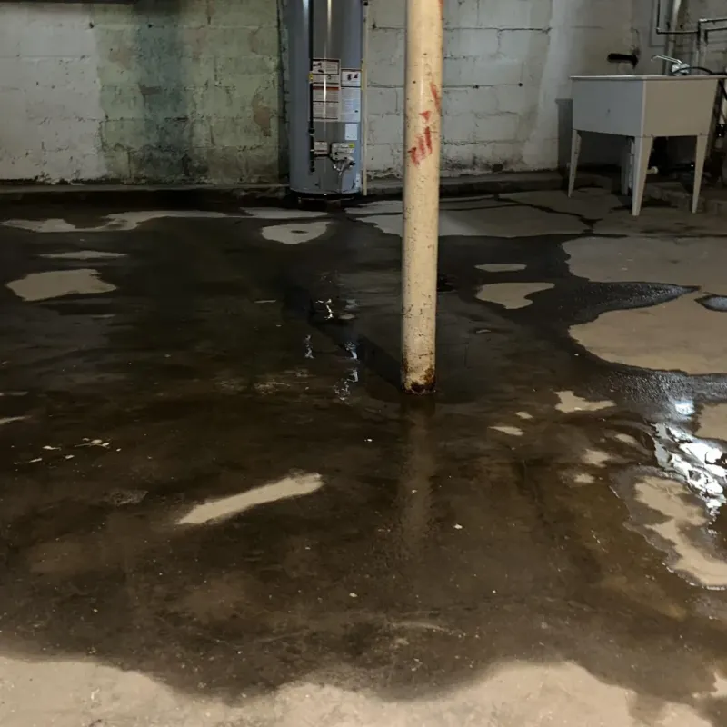 Emergency Water Extraction And Removal in Walden, CO
